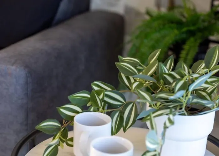 Apartment Ivory Seafront With Views!- Fl 25 By Homely St. Paul's Bay