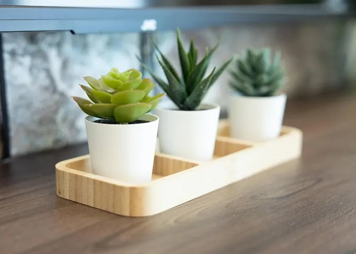 Appartamento Ivory Seafront With Views!- Fl 25 By Homely St. Paul's Bay