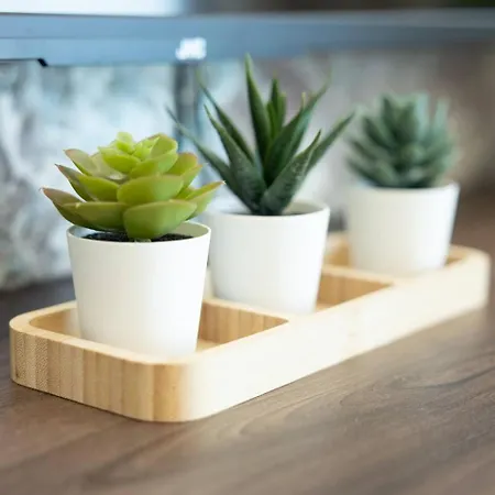 公寓 Ivory Seafront With Views!- Fl 25 By Homely 圣保罗湾城