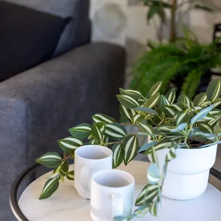 公寓 Ivory Seafront With Views!- Fl 25 By Homely 圣保罗湾城